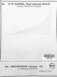 Image Associated With the Occurence